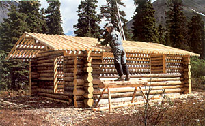 Dick Proenneke attaching the roof
