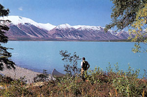 Dick Proenneke searching for a cabin site