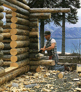 Dick Proenneke trimming the cabin wall logs